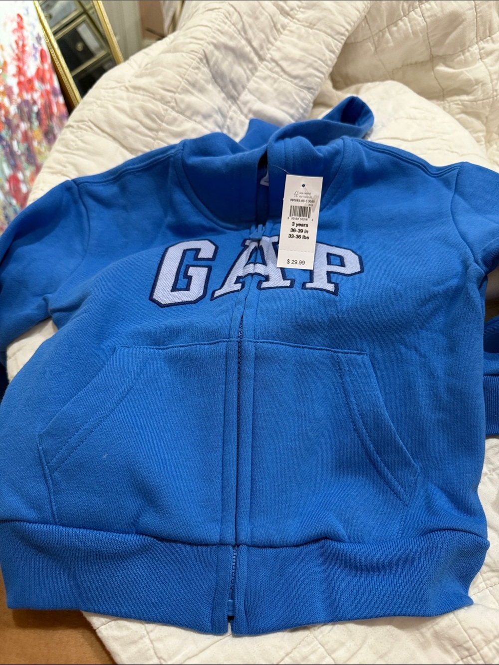 GAP Kids Royal Blue Zip Front Hoodie